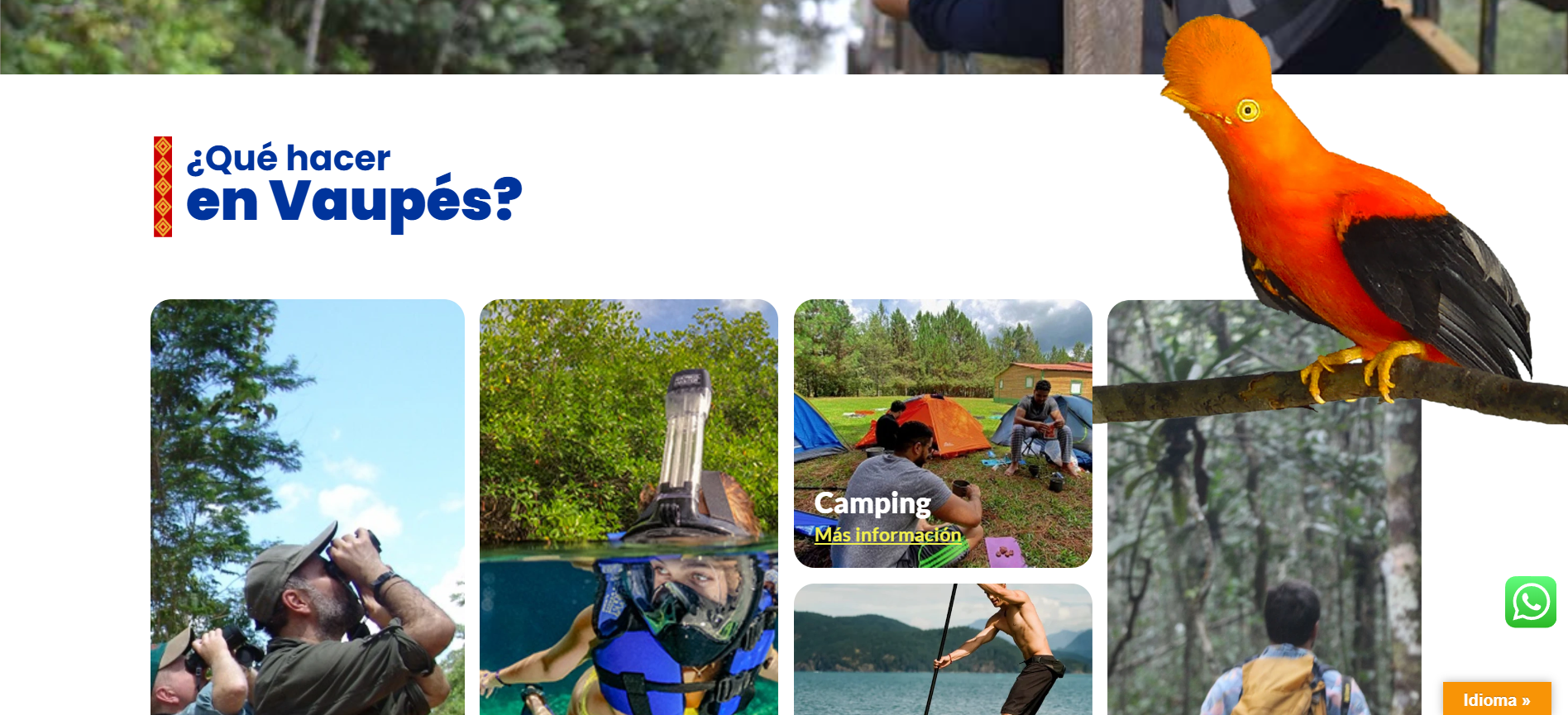 Vaupes Events — projects preview